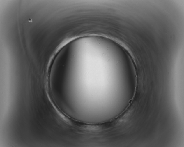 X0000086741525200704201656