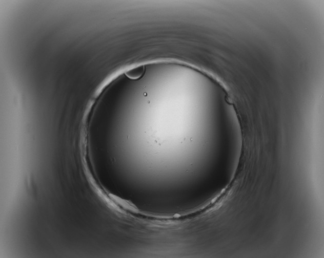 X0000086741526200704201656