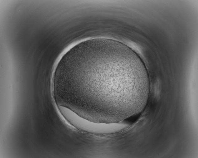 X0000086741528200704201656