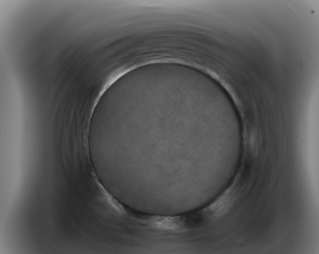 X0000086741529200704201656