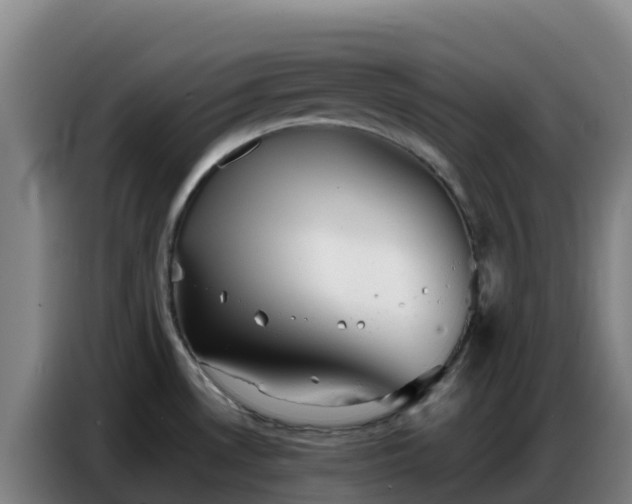 X0000086741530200704201656