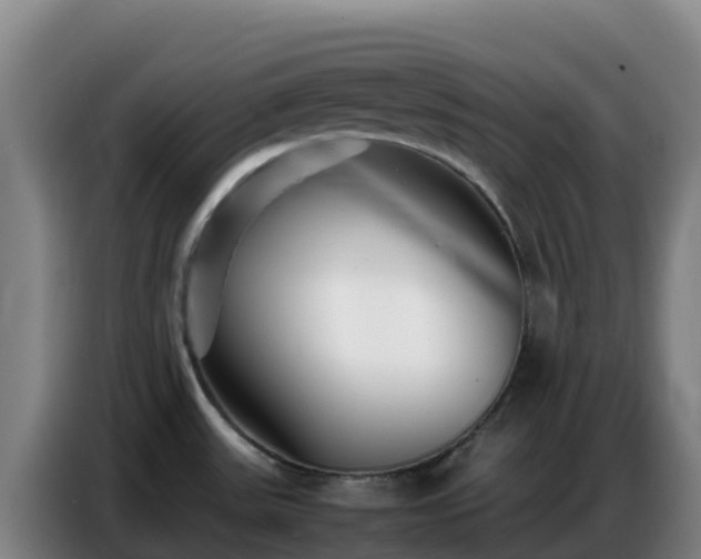 X0000086741531200704201656