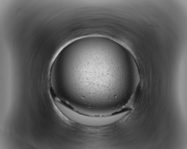 X0000086741532200704201656