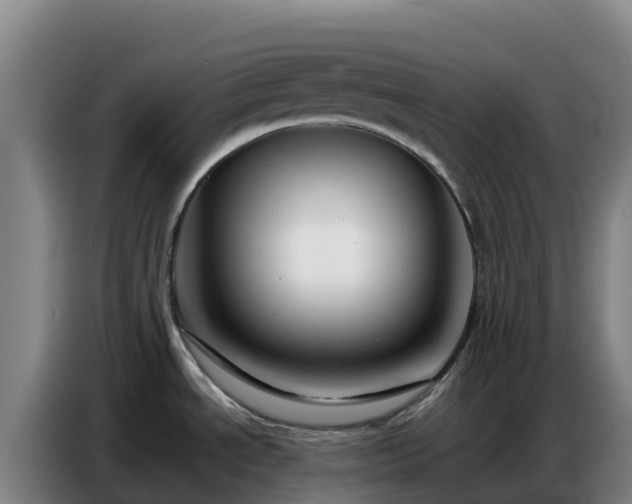 X0000086741534200704201656