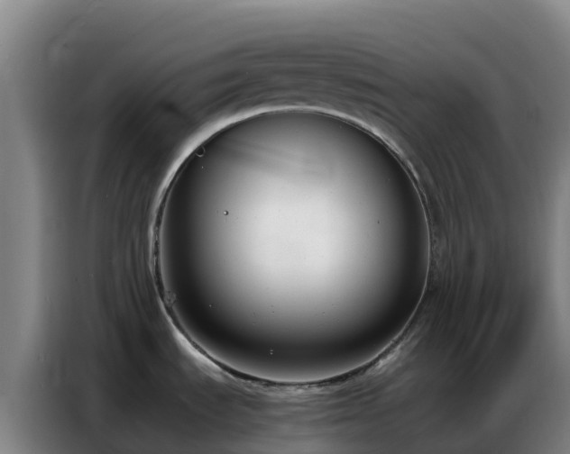 X0000086741535200704201656
