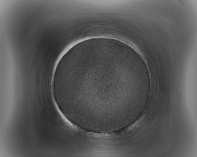 X0000086741536200704201656