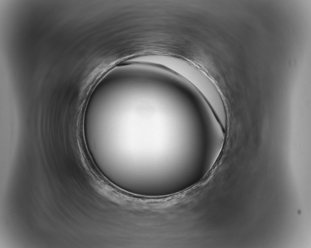 X0000086740001200704271659