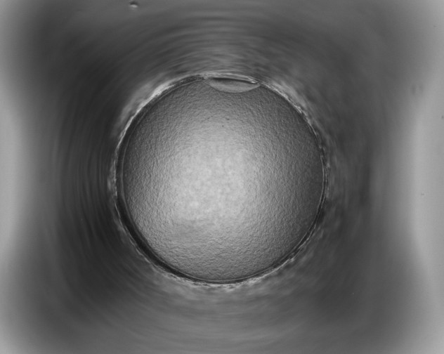 X0000086740002200704271659