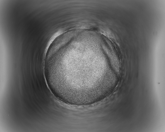 X0000086740003200704271659