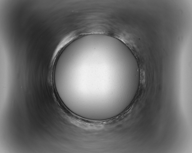 X0000086740004200704271659