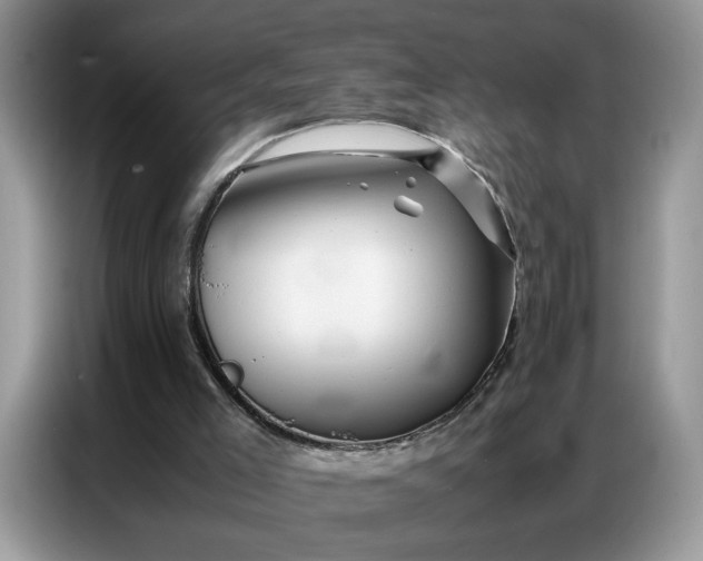 X0000086740005200704271659