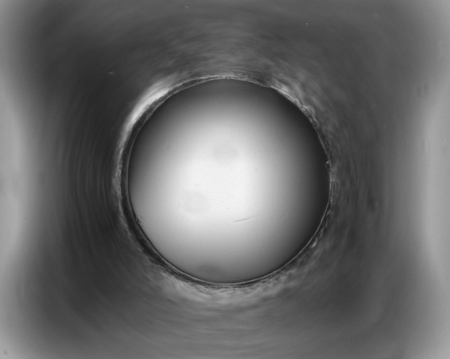 X0000086740006200704271659