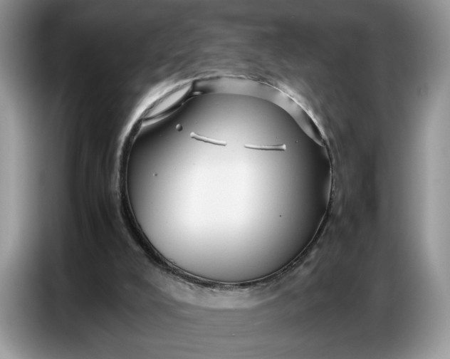 X0000086740008200704271659