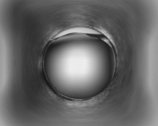 X0000086740009200704271659