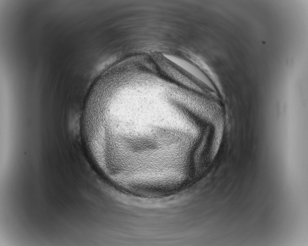 X0000086740010200704271659