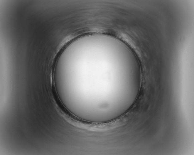 X0000086740011200704271659