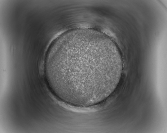 X0000086740012200704271659