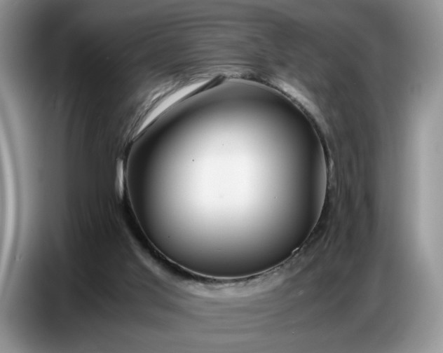 X0000086740013200704271659