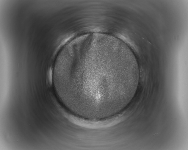 X0000086740014200704271659