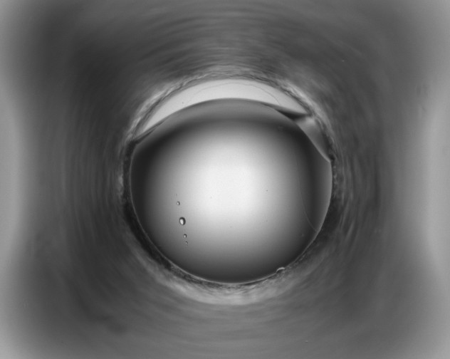 X0000086740015200704271659