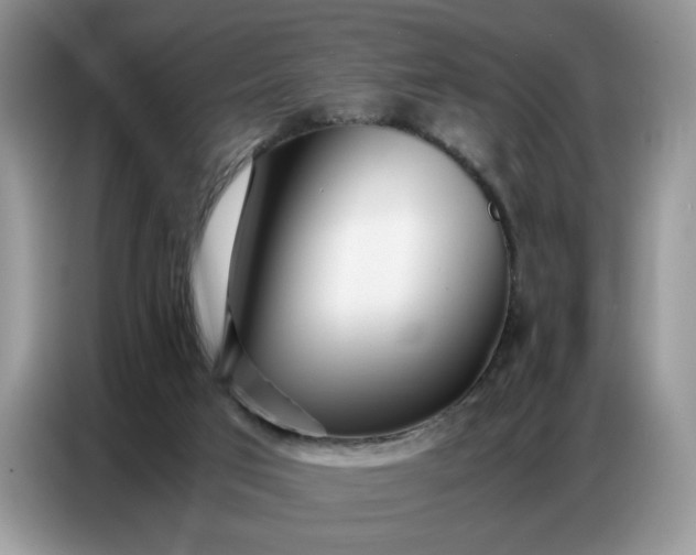 X0000086740017200704271659