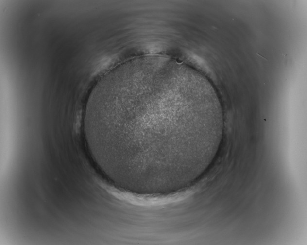 X0000086740018200704271659