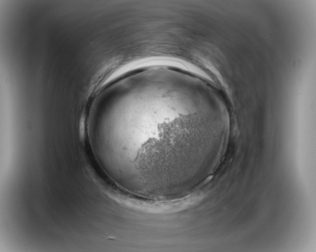 X0000086740019200704271659