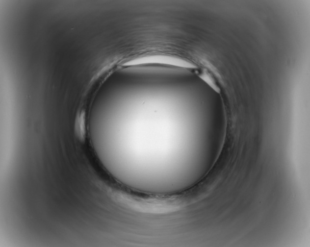 X0000086740020200704271659