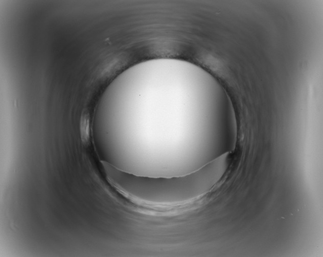 X0000086740021200704271659