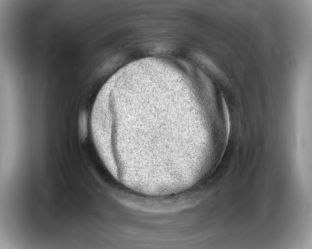 X0000086740022200704271659