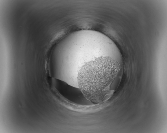 X0000086740023200704271659