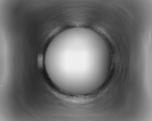 X0000086740024200704271659