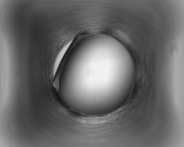 X0000086740025200704271659