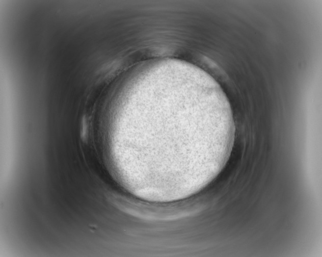 X0000086740026200704271659