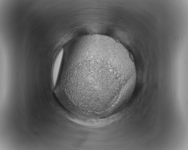 X0000086740027200704271659