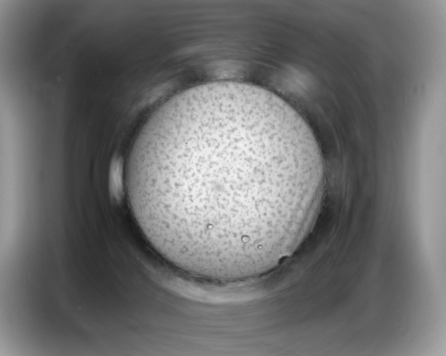 X0000086740028200704271659