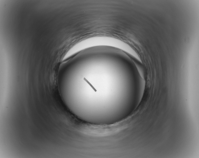 X0000086740029200704271659