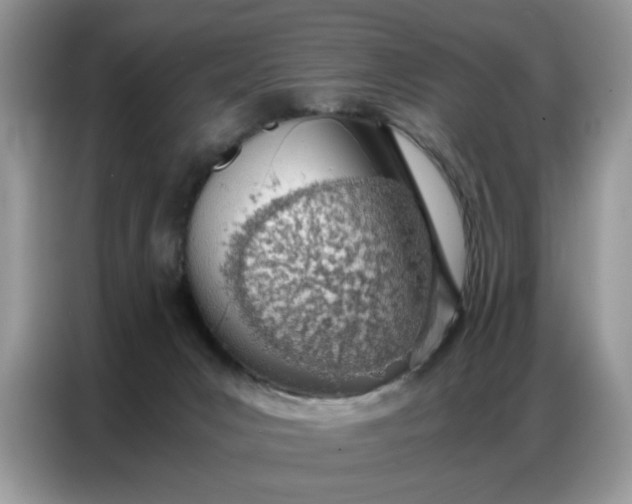 X0000086740031200704271659