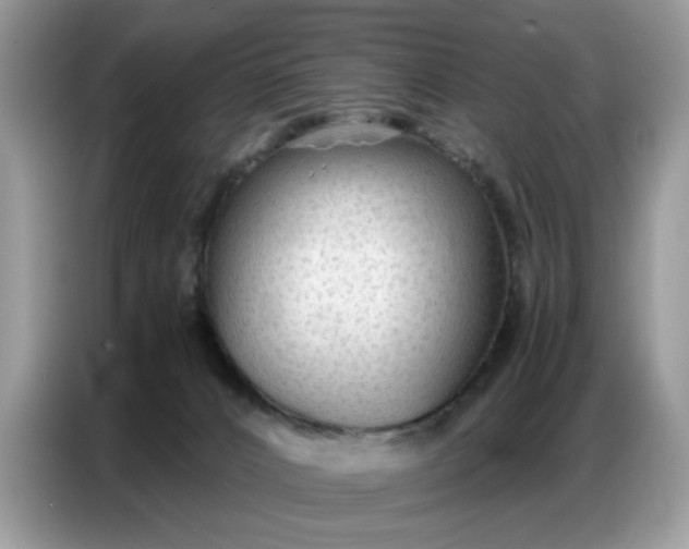 X0000086740032200704271659