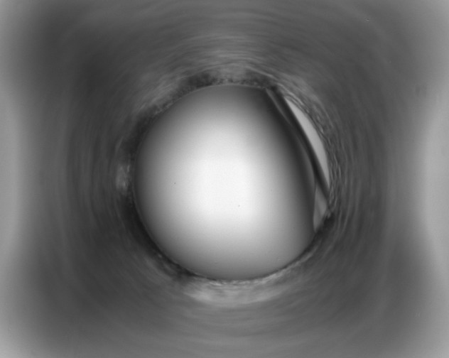 X0000086740033200704271659