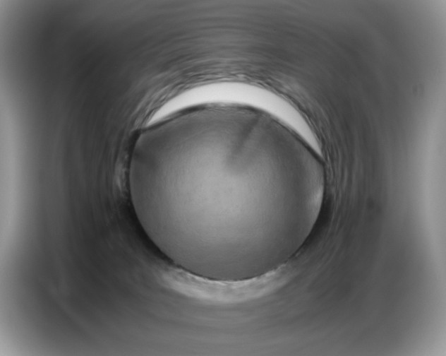 X0000086740035200704271659