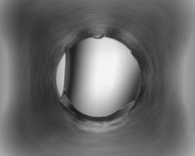 X0000086740037200704271659