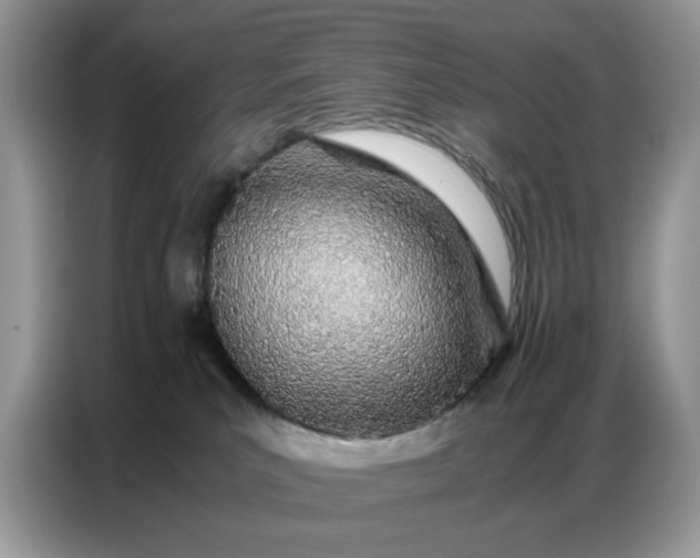 X0000086740039200704271659