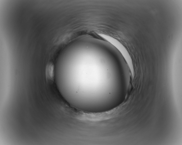 X0000086740041200704271659