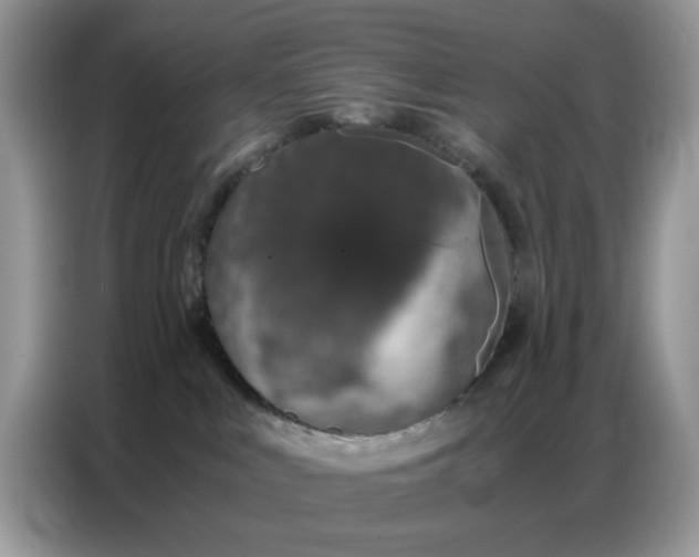 X0000086740043200704271659