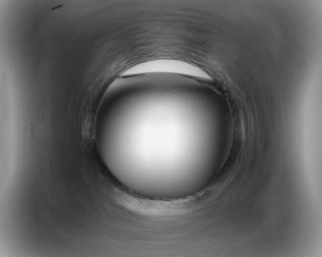 X0000086740044200704271659