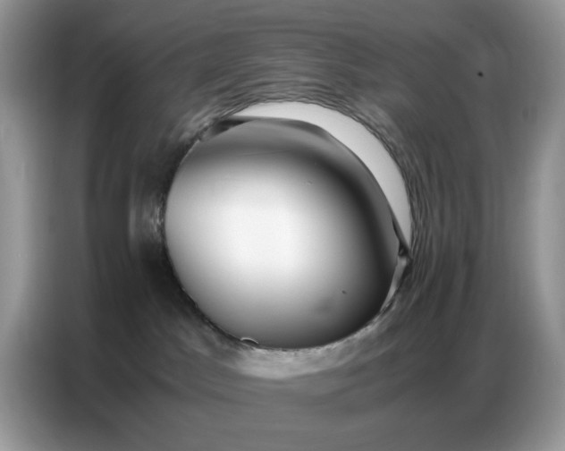 X0000086740045200704271659