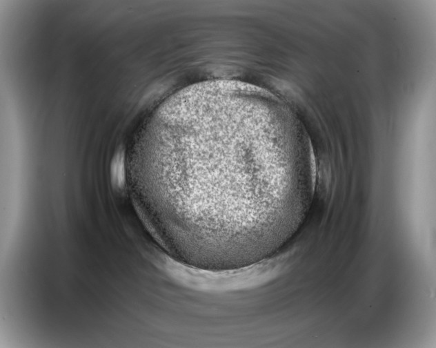 X0000086740046200704271659