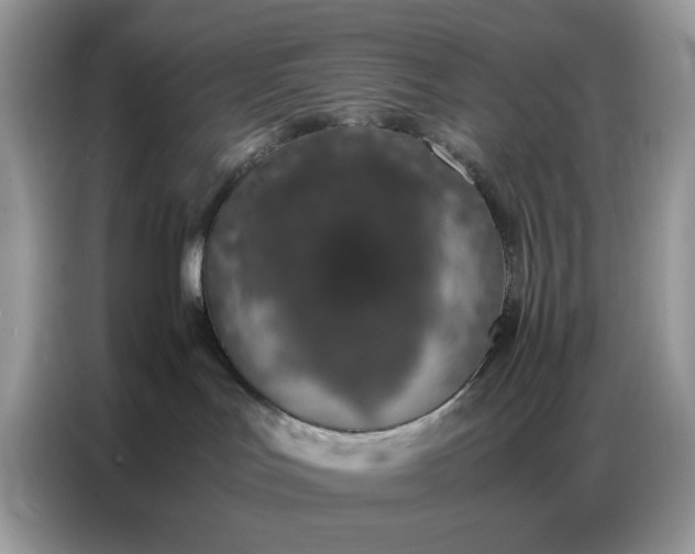 X0000086740047200704271659