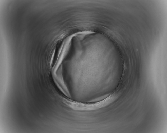 X0000086740048200704271659